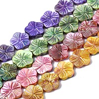 Arricraft Natural Freshwater Shell Beads Strands, AB Color Plated, Dyed, Flower, Mixed Color, 12.5x13x2.5mm, Hole: 0.7mm, about 30pcs/strand, 14.25~14.76 inch(36.2~37.5cm)