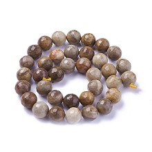 Arricraft Natural Petrified Wood Beads Strands, Faceted, Round, 10mm, Hole: 1.2mm, about 39pcs/strand, 15.15 inches~15.7  inches(38.5~40cm)