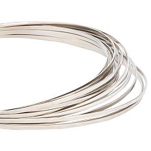 BENECREAT 18 Gauge Flat Stainless Steel Wire, 23 Feet Metal Craft Wire Stainless Steel Wire for Jewellery Making, Sculpture, Floral Arrangements