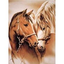 Honeyhandy 5D DIY Diamond Painting Animals Canvas Kits, with Resin Rhinestones, Diamond Sticky Pen, Tray Plate and Glue Clay, Horse Pattern, 30x20x0.02cm