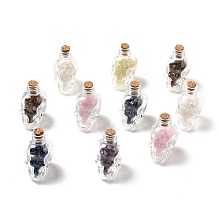 Honeyhandy Mixed Gemstones Chips in Skull Glass Bottle Display Decorations, for Witchcraft, 37x27x46.5mm