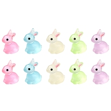 Honeyhandy 10Pcs 5 Colors Luminous Resin Display Decoration, Glow in the Dark Ornaments, Rabbit, Mixed Color, 21x14.5x22.5mm, 2pcs/color