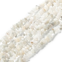 Honeyhandy Natural Moonstone Beads Strands, Chip, 6.5~14x5.5~7.5x1.5~6mm, Hole: 0.8mm, about 210pcs/strand, 31.50 inches(80cm)