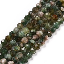 Honeyhandy Natural Fuchsite Beads Strands, Faceted, Round, 4mm, Hole: 0.7mm, about 93~94pcs/strand, 15.35~15.55 inch(39~39.5cm)