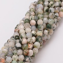 Honeyhandy Natural Tree Agate Bead Strands, Dyed, Faceted, Round, 6mm, Hole: 1mm, about 56~58pcs/strand, 14 inch