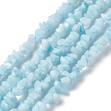 Honeyhandy Natural White Jade Chip Beads Strands, Imitation Aquamarine, Dyed, 5~19.5x3~8.5x1.5~7.5mm, Hole: 1mm, about 221~293pcs/strand, 31.10~32.68 inch(79~83cm)