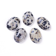 Honeyhandy Natural Dalmatian Jasper Cabochons, Oval, 14~14.5x10~10.5x4~5mm