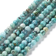 Honeyhandy Natural HuBei Turquoise Beads Strands, Round, 2.5~3mm, Hole: 0.5mm, about 155pcs/strand, 15.75''(40cm)