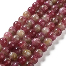 Honeyhandy Natural Watermelon Tourmaline Bead Strands, Round, Dyed, 8mm, Hole: 1mm, about 47~48pcs/strand, 14.96~15.35 inch(38~39cm)