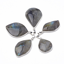 Honeyhandy Natural Labradorite Pendants, with Platinum Tone Iron Clasps, Mixed Shapes, 31~53x19~28x6~9mm, Hole: 7x3mm