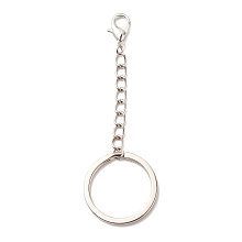 Honeyhandy 304 Stainless Steel Keychain, with Iron Twisted Chains Curb Chains, Zinc Alloy Lobster Claw Clasps, Platinum, 8.9cm