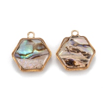 Honeyhandy Natural Paua Shell Pendants, with Golden Brass Findings, Hexagon, 15x13.5x4mm, Hole: 1.5mm