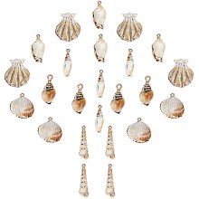 SUNNYCLUE 1 Box 24Pcs 6 Styles Sea Shell Pendants Electroplated Shell Charms Imitation Gemstone Style Spiral Shell Acrylic Charm for Women DIY Earring Necklace Bracelet Jewellery Making