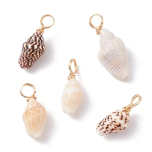 Honeyhandy Natural Shell Pendants, with Copper Findings, Real 18K Gold Plated, 18~23x7~10x6~7.5mm, Hole: 3.7mm