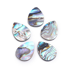 Honeyhandy Natural Abalone Shell/Paua Shell Cabochons, Teardrop, 18x13x2mm