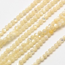 Honeyhandy Shell Round Beads Strands, Natural Color, Creamy White, 2mm, Hole: 0.8mm, about 184pcs/strand, 16 inch