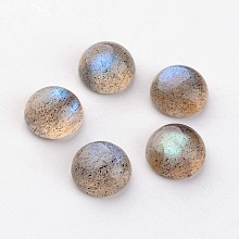 Honeyhandy Natural Labradorite Cabochons, Half Round/Dome, 8x4mm