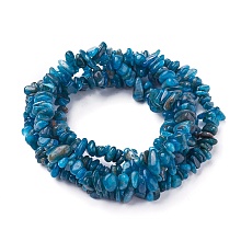 Honeyhandy Natural Apatite Beads Strands, Chip, 4~13x3~12x1~6mm, Hole: 1mm, about 33 inch~34.2 inch(84~87cm)