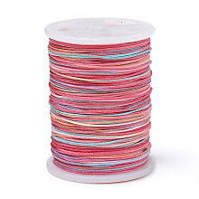 Honeyhandy Segment Dyed Polyester Thread, Braided Cord, Colorful, 0.4mm, about 16.4 yards(15m)/roll