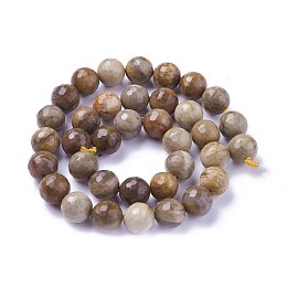 Arricraft Natural Petrified Wood Beads Strands, Faceted, Round, 10mm, Hole: 1.2mm, about 39pcs/strand, 15.15 inches~15.7  inches(38.5~40cm)