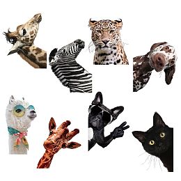 CRASPIRE Funny Farm Animals Window Decoration Decals Cute Animal Wall Decals 8 Sheets Cat Dog Zebra Waterproof Stickers for Classroom Bedroom Living Room Window Store Showcase Wall Decorations