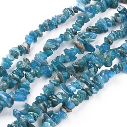 Honeyhandy Natural Apatite Beads Strands, Chip, Deep Sky Blue, 5~13x3~8mm, Hole: 0.6mm, 33~33.4 inch(84~85cm)