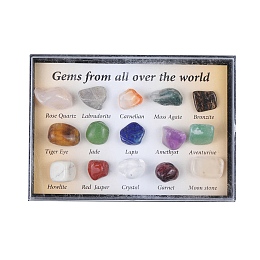 Honeyhandy Natural Gemstones Nuggets Collections, for Earth Science Teaching, Box: 85x60x13mm, Gemstone: 8~14x5~8mm, 15pcs/box