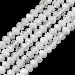 Honeyhandy Natural Rainbow Moonstone Beads Strands, Faceted Rondelle, 3x2mm, Hole: 0.6mm, about 163pcs/strand, 15.47 inch(39.3cm)