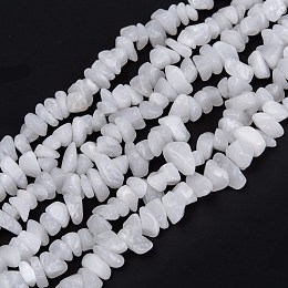 Honeyhandy Natural White Jade Beads Strands, Chip, 3~16x3~8mm, Hole: 0.7mm, 32.28''(82cm)