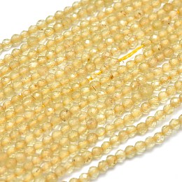 Honeyhandy Natural Citrine Beads Strands, Faceted, Round, Dyed & Heated, 2mm, Hole: 0.5mm, about 192pcs/strand, 15.16 inch(38.5cm)