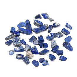 Honeyhandy Natural Lapis Lazuli Beads, No Hole/Undrilled, Chip, 8.5~23.5x7~8x2~7mm, about 704pcs/500g