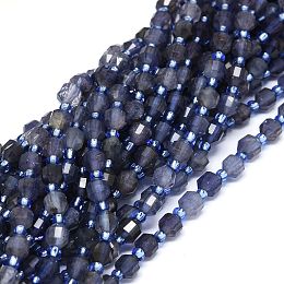 Honeyhandy Natural Iolite Beads Strands, with Seed Beads, Faceted, Bicone, Double Terminated Point Prism Beads, 5~7x6mm, Hole: 0.8mm, about 48pcs/strand, 15.55 inch(39.5cm)