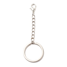 Honeyhandy 304 Stainless Steel Keychain, with Iron Twisted Chains Curb Chains, Zinc Alloy Lobster Claw Clasps, Platinum, 8.9cm