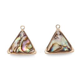 Honeyhandy Natural Paua Shell Pendants, with Golden Brass Findings, Triangle, 17.5x17x5.5mm, Hole: 1.6mm