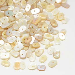 Honeyhandy Dyed Natural Freshwater Shell Chips Beads, Antique White, 7~10x5~7x1~4mm, Hole: 1mm, about 2600pcs/500g