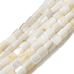 Honeyhandy Natural Freshwater Shell Beads Strands, Column, Floral White, 5x5mm, Hole: 0.7mm, about 74~76pcs/strand, 14.57~14.96''(37~38cm)