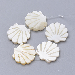 Honeyhandy Natural Freshwater Shell Beads, Scallop Shape, Creamy White, 15x15.5x2.5mm, Hole: 1mm