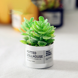 Honeyhandy Resin Succulents Pot Model, Moss Micro Landscape Dollhouse Decoration, Random Color Pot, Lime, 30x21mm