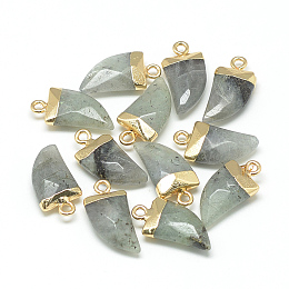 Honeyhandy Natural Labradorite Pointed Pendants, with Brass Findings, Faceted, Tusk Shape, Golden, Light Grey, 21x11x5.5mm, Hole: 2mm