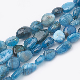 Honeyhandy Natural Apatite Beads Strands, Oval, 5~15x4~10x2~6mm, Hole: 1mm, about 40~60pcs/strand, 15.7 inch