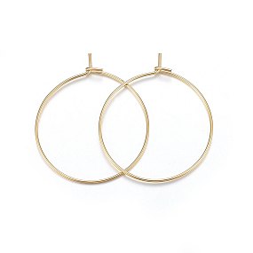 Honeyhandy 316 Surgical Stainless Steel Hoop Earrings, Ring, Golden, 21 Gauge, 25x0.7mm