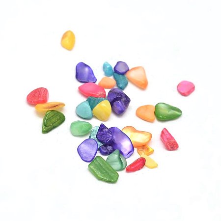 NBEADS 1000g Dyed Natural Shell Chip Beads, No Hole, Mixed Color, 3~9x1~4mm