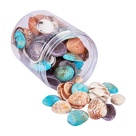 PandaHall Elite 1 Box About 100-120Pcs Mixed Colors of Clam Seashells Oval Shells for Craft DIY Home Deco 32-37 Length