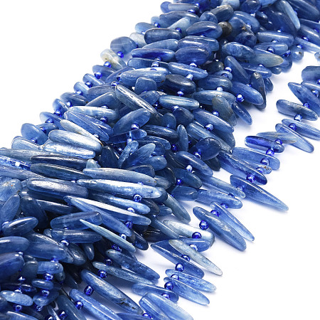 Honeyhandy Natural Kyanite Beads Strands, Chip, 9.5~30x4.5~7.5x1.5~5mm, Hole: 0.8mm, about 80pcs/strand, 15.75 inch(40cm)