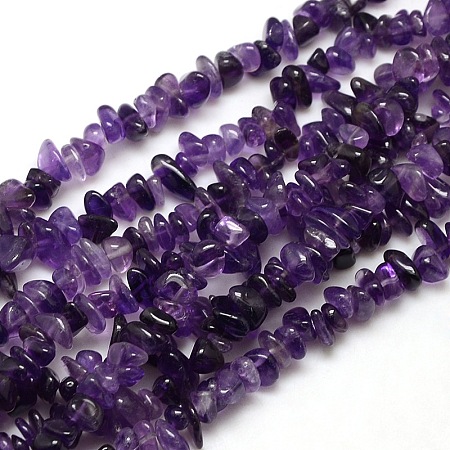 Honeyhandy Natural Amethyst Chips Beads Strands, 8~14x4~8x3~6mm, Hole: 1mm, about 15~16 inch