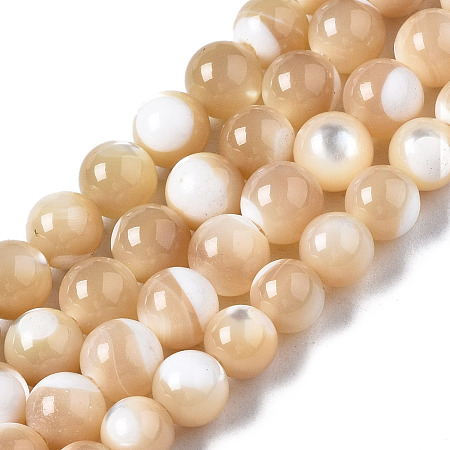 Honeyhandy Natural Trochid Shell/Trochus Shell Beads Strands, Round, BurlyWood, 5mm, Hole: 1mm, about 84~85pcs/strand, 15.55 inch(39.5cm)