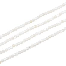 NBEADS 360 Pcs Natural Freshwater Shell Beads, 2.5mm Floral White Pearl Strands Round Loose Beads for Jewelry Craft Making, Hole: 0.7mm