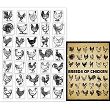 GLOBLELAND Farm Chicken Clear Stamps for Card Making Decorative Breed of Chicken Rooster Hen Transparent Silicone Stamps for DIY Scrapbooking Supplies Embossing Paper Card Album Decoration Craft