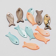 Dyed Shell Fish Pendants, Mixed Color, 9~10x19~24x2mm, Hole: 1mm