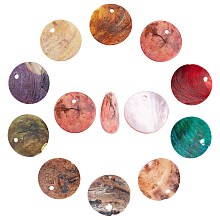 SUNNYCLUE 100Pcs 10 Colors Spray Paint Natural Akoya Shell Pendants, Mother of Pearl Shell Pendants, Flat Round, Mixed Color, 15x1mm, Hole: 1.1~1.5mm, 10pcs/color